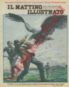 Drammatica lotta tra due contadini e un'aquila abbattutasi ferita in …