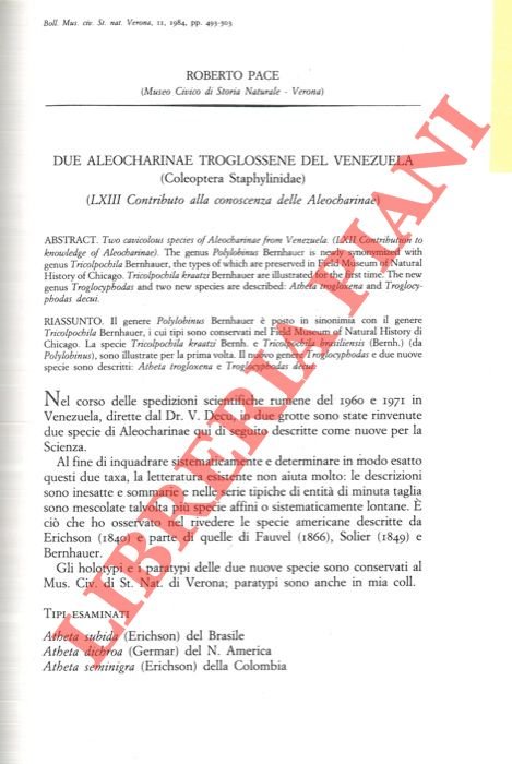 Due Aleocharinae troglossene del Venezuela (Coleoptera Staphylinidae) .