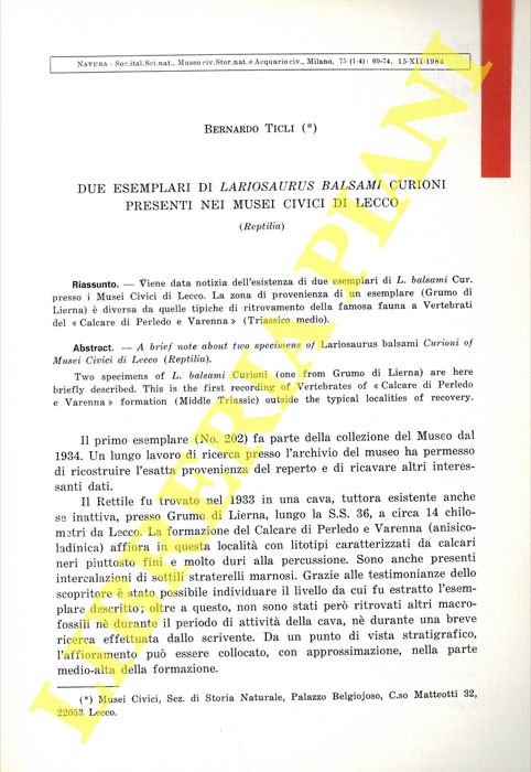 Due esemplari di Lariosaurus balsami Curioni presenti nei Musei Civici …