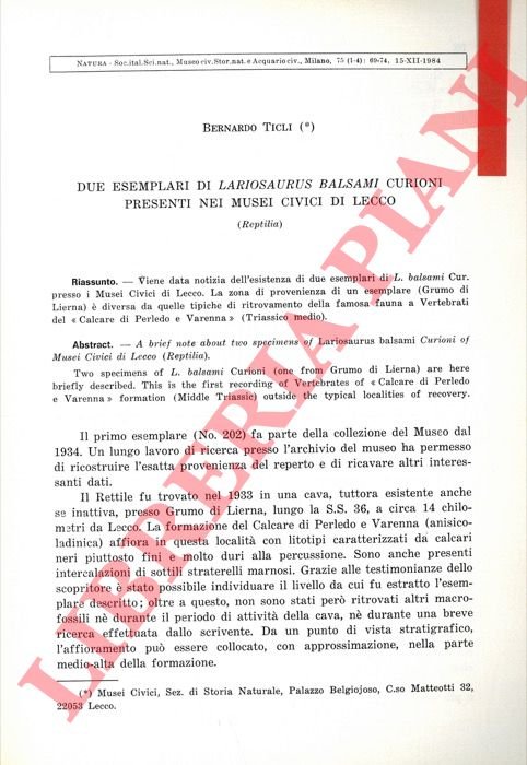 Due esemplari di Lariosaurus balsami Curioni presenti nei Musei Civici …