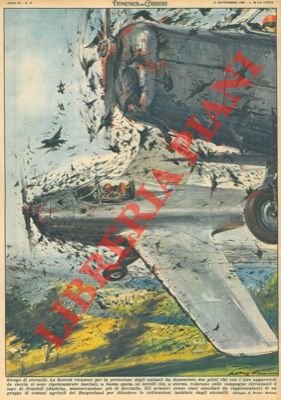 Due piloti sono stati denunciati perchè con i loro apparecchi …