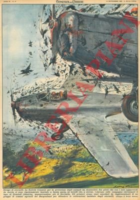 Due piloti sono stati denunciati perchè con i loro apparecchi …