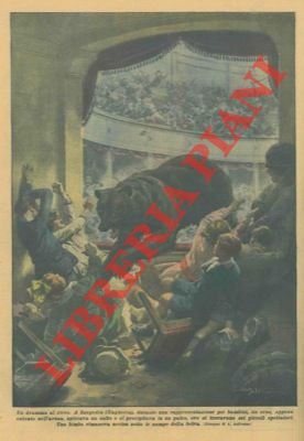 Durante uno spettacolo in un circo un orso balza sugli …