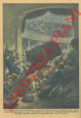 Durante uno spettacolo in un circo un orso balza sugli …