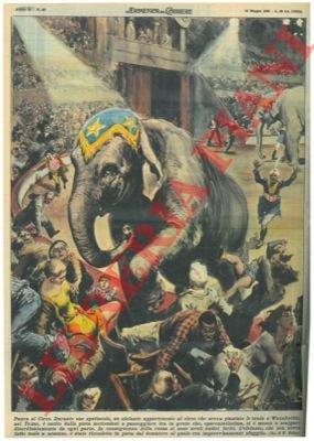 Durante uno spettacolo, un elefante appartenente al circo usciva dalla …