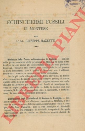 Echinodermi fossili di Montese.