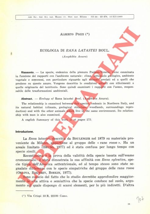 Ecologia di Rana latastei Boul. (Amphibia Anura).