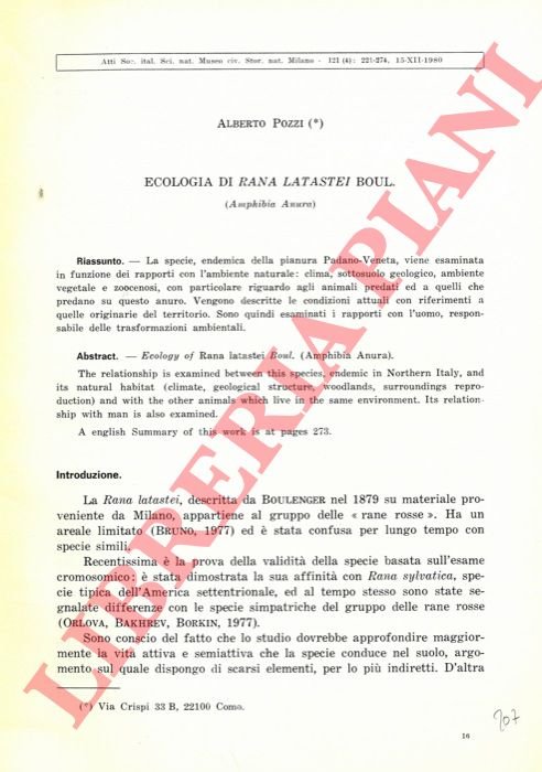 Ecologia di Rana latastei Boul. (Amphibia Anura).