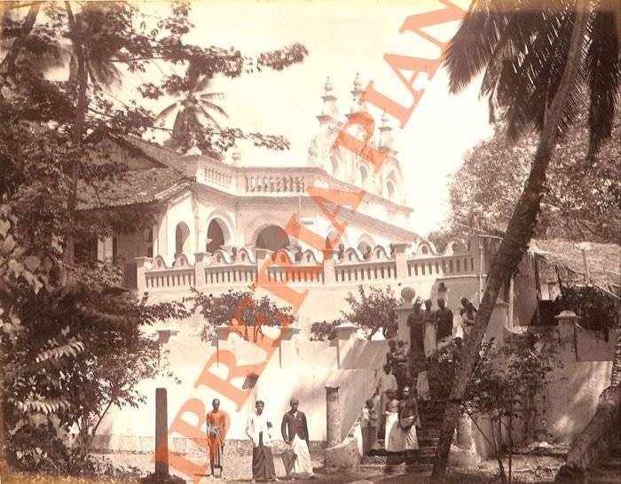 Egitto - India - Algeria - Yemen - Italia - …