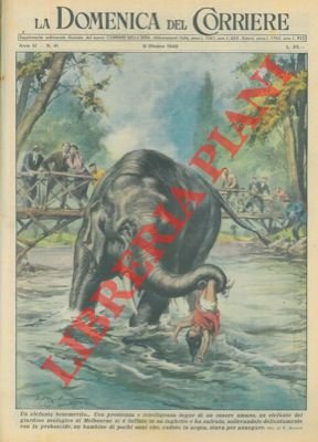 Elefante si tuffa in un laghetto e salva un bambino …