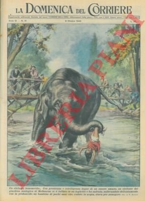 Elefante si tuffa in un laghetto e salva un bambino …