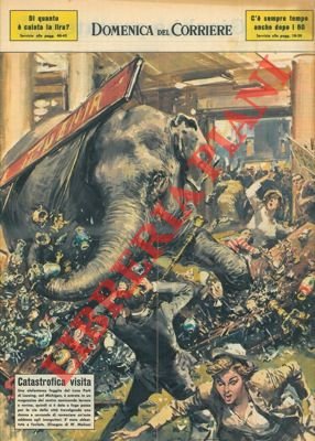 Elefantessa fuggita dal Luna Park di Lausing si dava a …