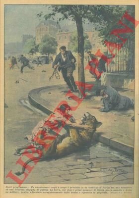 Emozionante corpo a corpo fra una domatrice ed una leonessa …