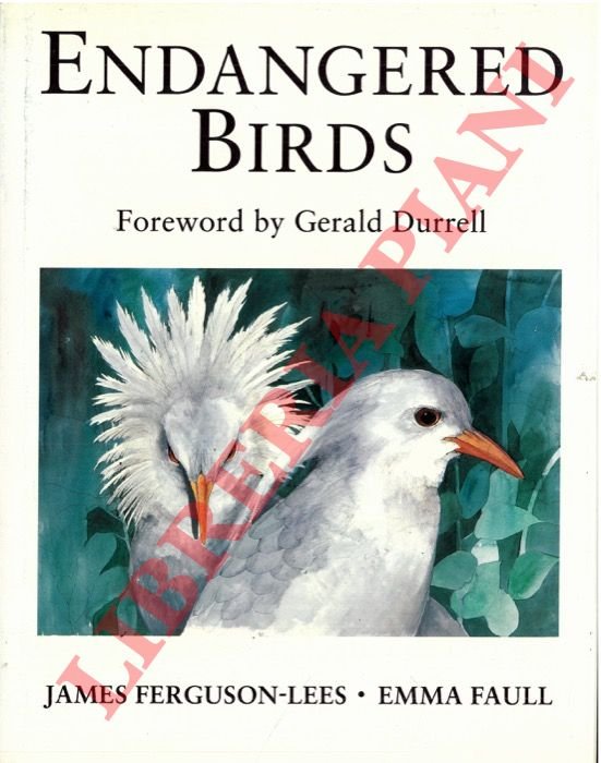 Endangered birds.