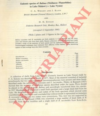 Endemic species of Bulinus (Mollusca: Planorbidae) in Lake Malawi (= …