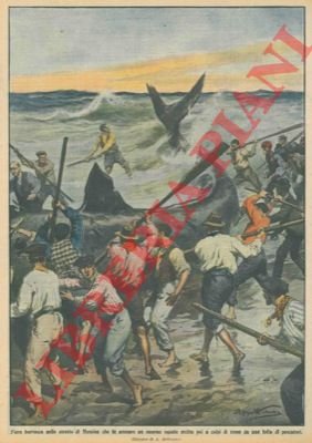 Enorme squalo arenatosi nello stretto di Messina è ucciso a …