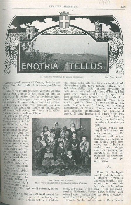 Enotria Tellus.