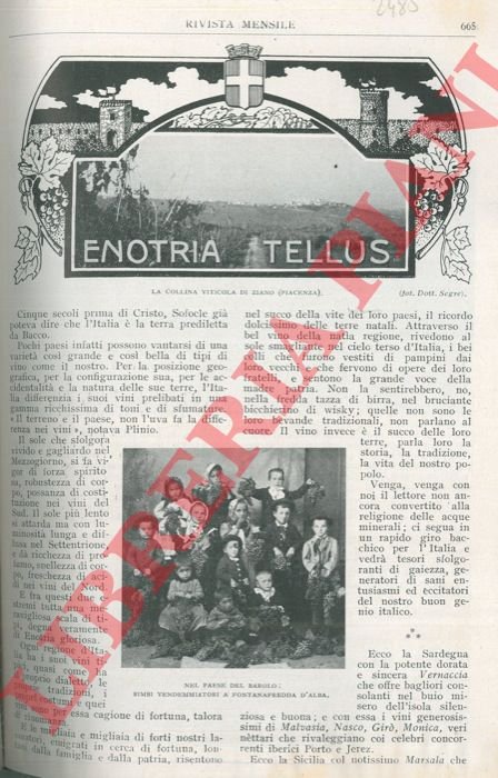 Enotria Tellus.