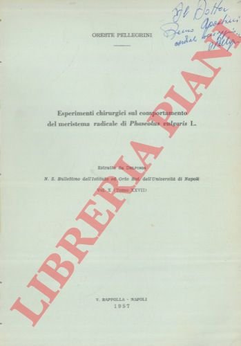 Esperimenti chirurgici sul comportamento del meristema radicale di Phaseolus vulgaris …