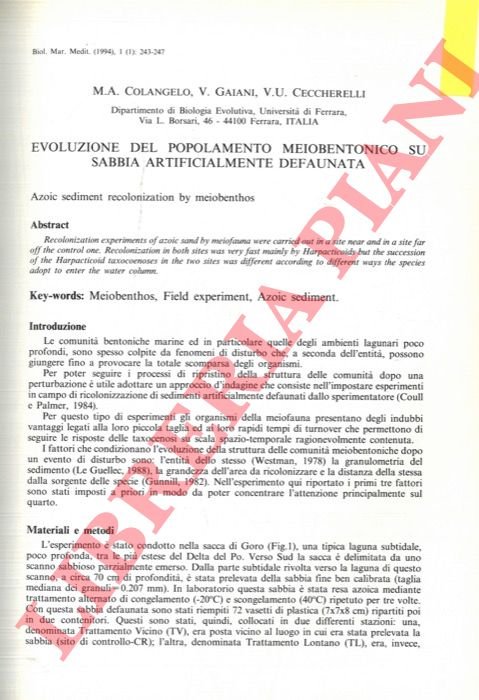 Evoluzione del popolamento meiobentonico su sabbia artificialmente defaunata.