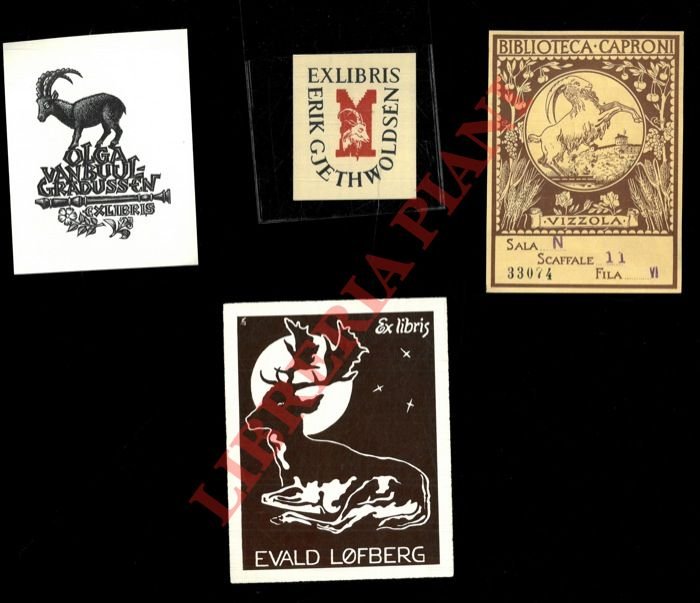 Ex libris : UNGULATI (Cervi; Caccia grossa) -