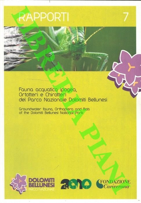 Fauna acquatica ipogea. Ortotteri e Chrotteri del Parco Nazionale Dolomiti …