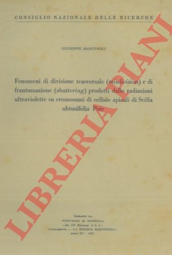 Fenomeni di divisione trasversale (misdivision ) e di frantumazione (shattering …
