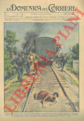 Fermato il treno sulla linea Cremona-Mantova. Una ragazza si era …