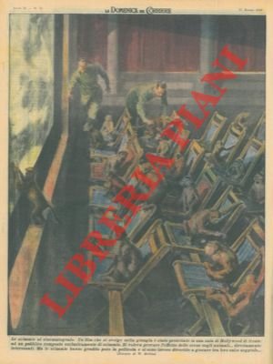 Film che si svolgeva nella giungla proiettato di fronte ad …