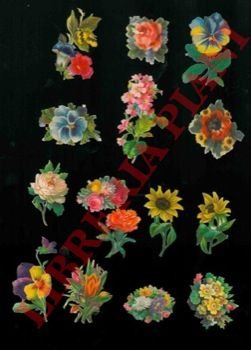 Fiori.