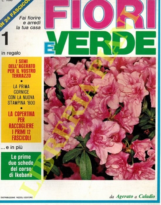Fiori e verde. - Conoscere gli alberi. - Piante in …