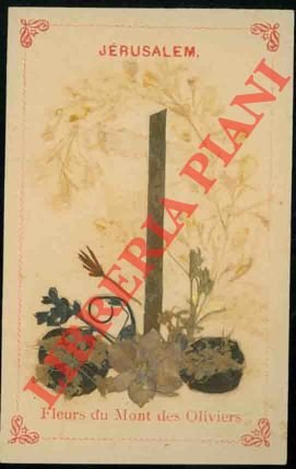 Fleurs du Mont des Oliviers. Jerusalem. | Immagine Gallery 2