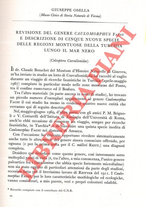 Flora della regione veronese. Pteridofite. | Immagine Gallery 2