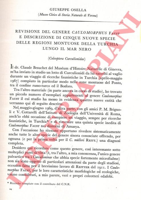 Flora della regione veronese. Pteridofite. | Immagine Gallery 3