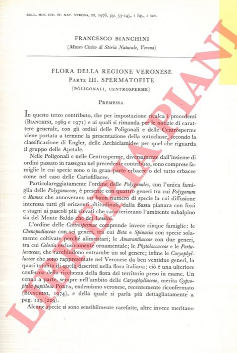 Flora della regione veronese. Spermatofite. | Immagine Gallery 3