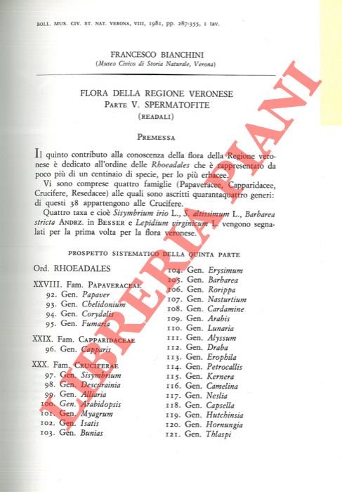 Flora della regione veronese. Spermatofite (Readali) . | Immagine Gallery 2