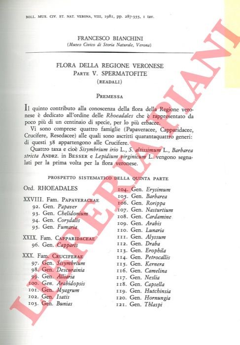 Flora della regione veronese. Spermatofite (Readali) . | Immagine Gallery 3