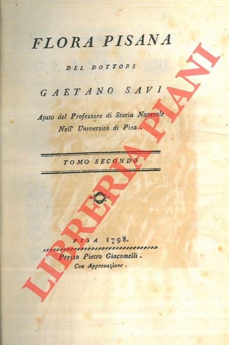 Flora pisana.