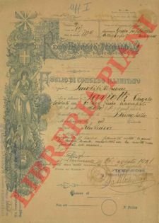 Foglio di congedo illimitato per smobilitazione.