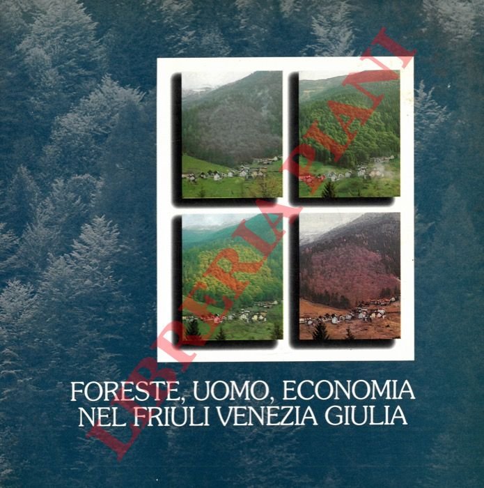 Foreste, uomo, economia nel Friuli-Venezia Giulia.
