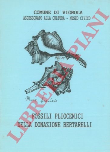 Fossili pliocenici della donazione Bertarelli.