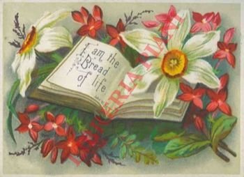 Frasi bibliche con fregi e decorazioni a fiori e festoni.