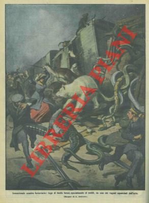 Fuga di bestie feroci uscite dai vagoni dopo uno scontro …