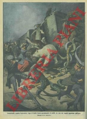 Fuga di bestie feroci uscite dai vagoni dopo uno scontro …