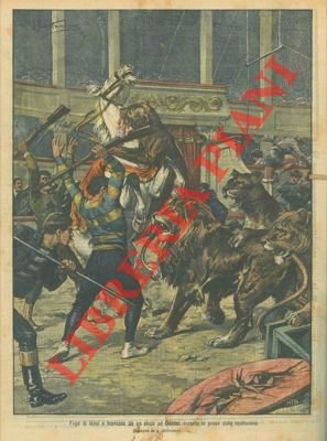 Fuga di leoni e leonesse da un circo di Odessa.