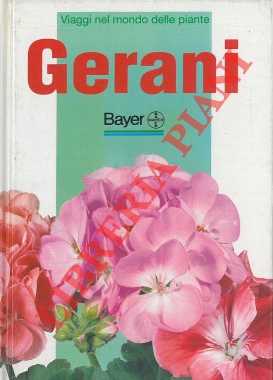 Gerani.