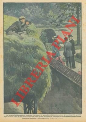 Giornalista travestitosi da contadino e appostatosi sopra un carro carico …