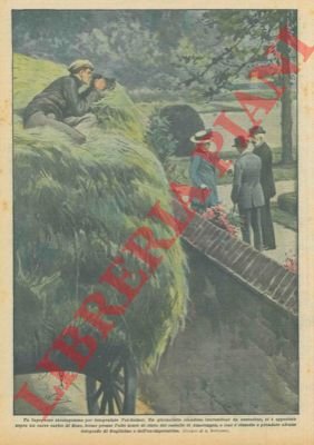 Giornalista travestitosi da contadino e appostatosi sopra un carro carico …