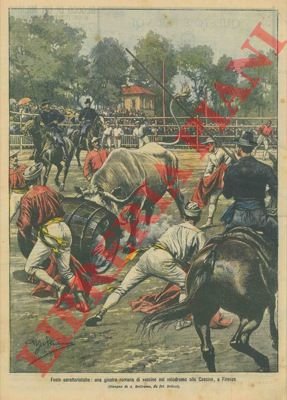 Giostra romana di vaccine alle Cascine a Firenze.