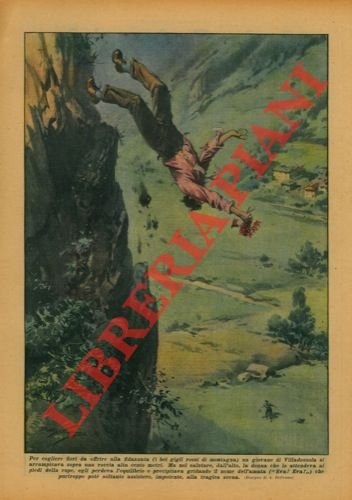 Giovane di Villadossola cade per cogliere fiori per la sua …